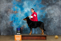 Beauceron #264 Sun G1 Judge Kathryn Baxter