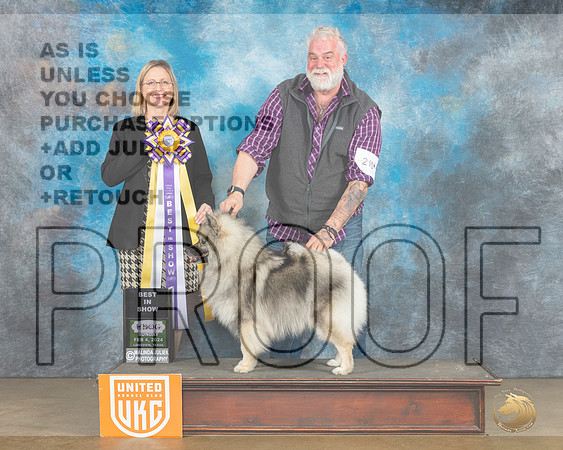Keeshond Sun BIS Judge Felicity Trammell_JP_2813_UKCFebLng2024_2024_HR3