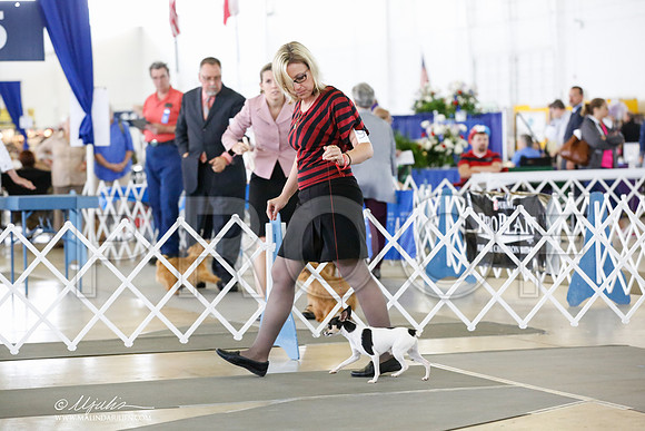 _CK_6996-DallasJul2014-HR3
