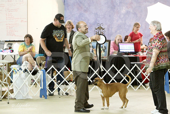 WPCL2011LR