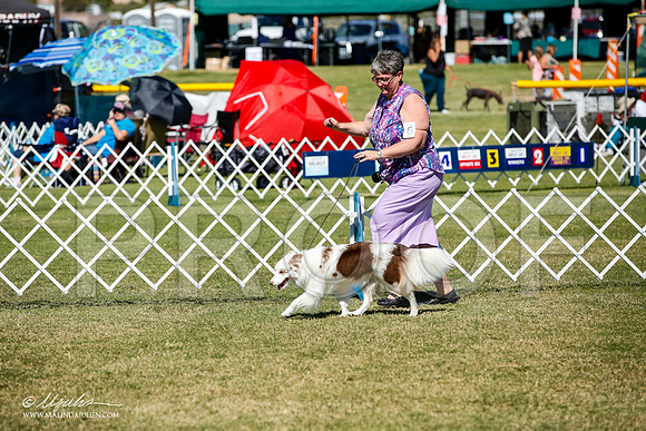 _JJ_1255-AlamogordoOct2014-HR3