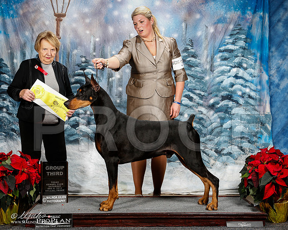 _ST_8927-2-DallasDec2014-HR3