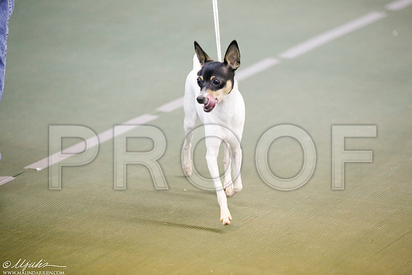 _JJ_3732-DentonMar2015-HR3