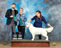 Abby McMillin UKC Longview Feb2024