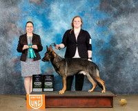 Allison Jenkins UKC Longview Feb2024
