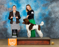 Caelie Johnson UKC Longview Feb2024