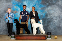 Cenia Tyler UKC Longview Feb2024
