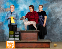 Elaine Lambino UKC Longview Feb2024