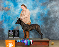 Heather Perillo UKC Longview Feb2024