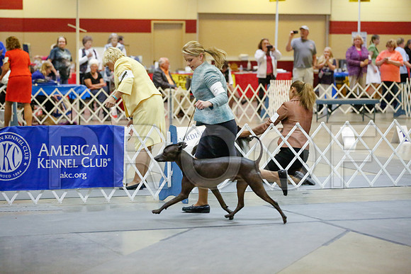 _JJ_8146-AmarilloSept2014-HR3