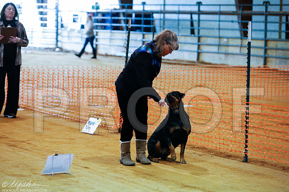_RH_3881-MarshDec2014-HR