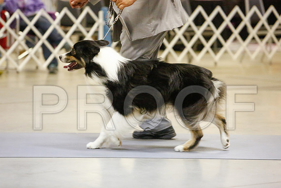 _JN_6421-AmarilloSept2014-HR3