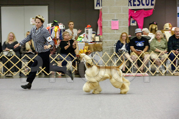 _JJ_0011-AfgBeltonOct2014-HR3
