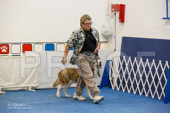 _M3_7851-AddisonHuskyMar2015-HR3