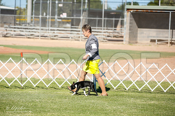 _JN_8434-AlamogordoOct2014-HR3