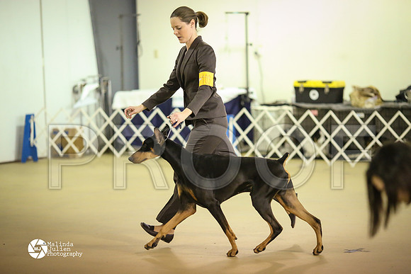Dobe-7807-HtoJan14-HR