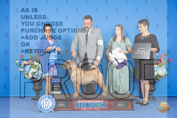 Chinese Shar Pei #5 SAT G1 Judge Douglas Freeman__JP_0002_Houston_2024_HR3