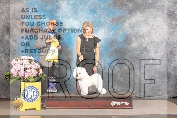 Bichon Frise #5 Thur G3  Judge Luis Sosa_MJ_4559_Houston_2022_HR3