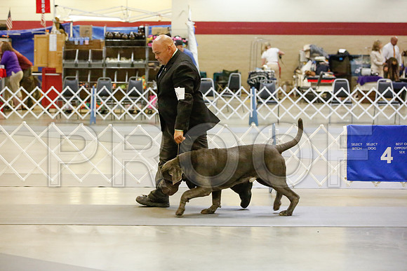 _JJ_1813-AmarilloSept2014-HR3