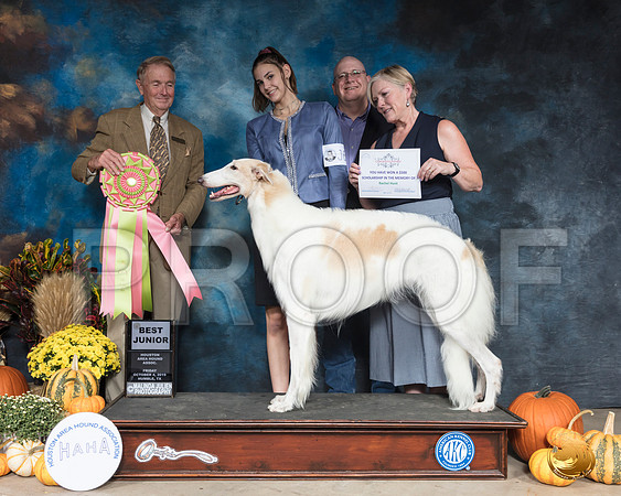 Borzoi #J600 Fri BJr Judge Christopher Neal__SR_9737_Humble2019-HR3