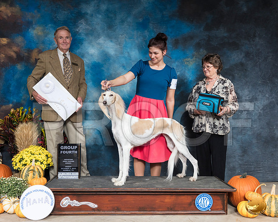 Saluki #6 Fri G4 Judge Christopher Neal__SR_9768_Humble2019-HR3