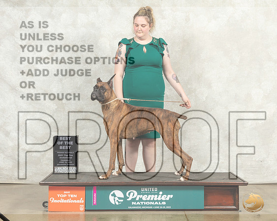 Boxer #903 Thur Top10BOB Judge Mary Ellen Meyer__MJ_8080_Premier_2022_HR3