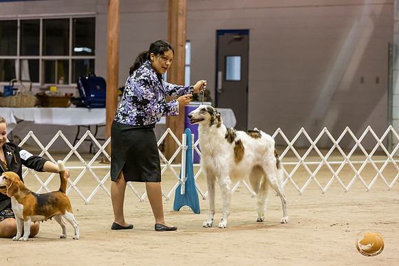 Borzoi J510 Fri Ring Rita Rice_JJL_2844_Humble2019-HR3