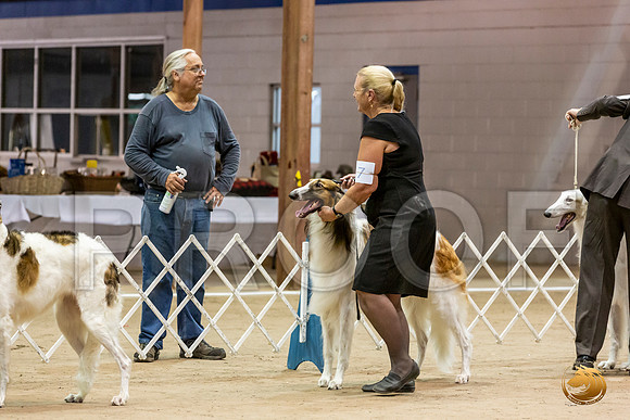 Borzoi Lori Fri Ring_JJL_2761_Humble2019-HR3