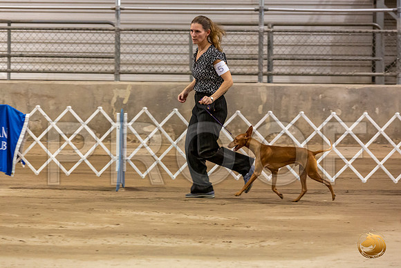 Cirnechi Candids Fri Ring_JJL_2700_Humble2019-HR3