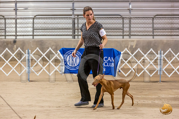 Cirnechi Candids Fri Ring_JJL_2718_Humble2019-HR3