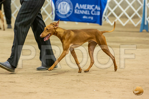 Cirnechi Candids Fri Ring_JJL_2720_Humble2019-HR3