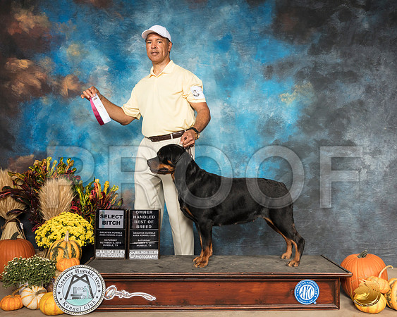 Rottweiler #6 Sat SB OHBOB__SR_9816_Humble2019-HR3