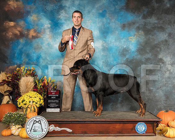 Rottweiler #8 Sat BOS__SR_9804_Humble2019-HR3