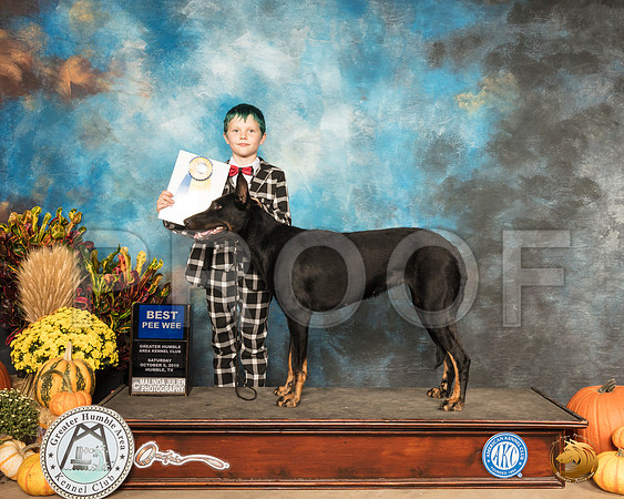 Pee Wee Beauceron__SR_9859_Humble2019-HR3
