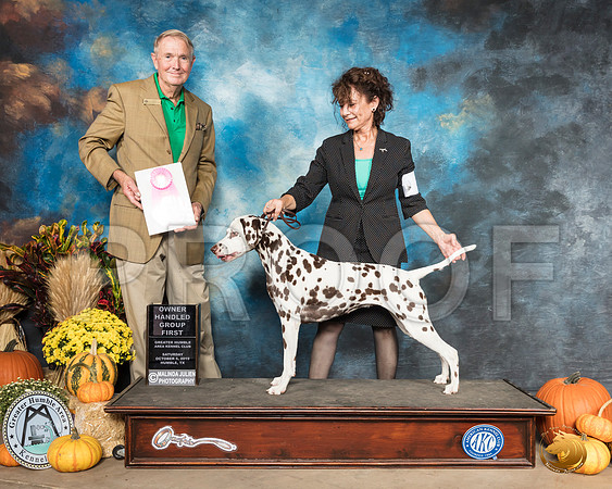 Dalmatian #8 Sat OHG1 Judge Joe Walton__SR_0046_Humble2019-HR3