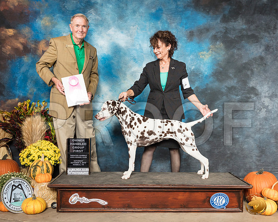 Dalmatian #8 Sat OHG1 Judge Joe Walton__SR_0047_Humble2019-HR3