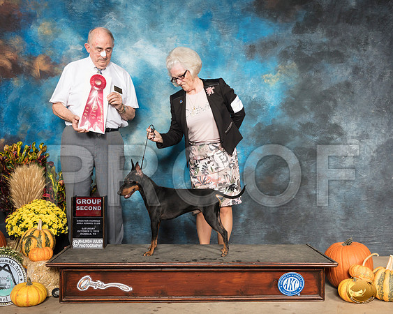 Manchester Terrier #7 Sat G2 Judge Joe Walton__SR_9950_Humble2019-HR3