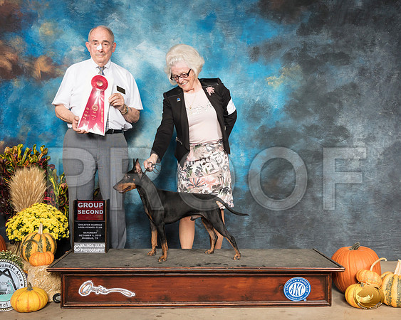 Manchester Terrier #7 Sat G2 Judge Joe Walton__SR_9952_Humble2019-HR3