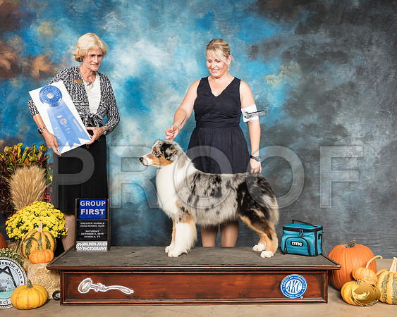 Australian Shepherd #9 Sat G1 Judge Patti Neale__SR_9934_Humble2019-HR3