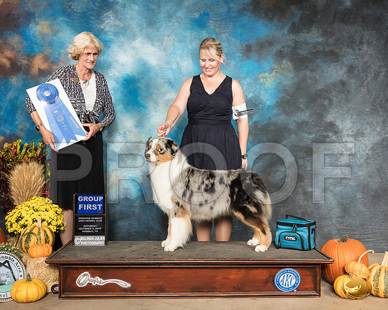 Australian Shepherd #9 Sat G1 Judge Patti Neale__SR_9935_Humble2019-HR3