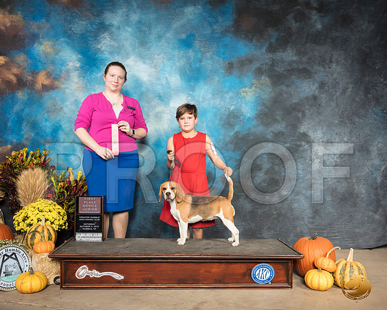 Beagle #J6 Sat RBJr Judge Kimberly Bettandorf__SR_9962_Humble2019-HR3