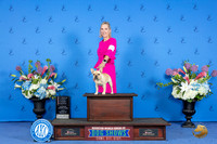 French Bulldog #6 FRI 4to6 Puppy G4 Judge Terri Jackson
