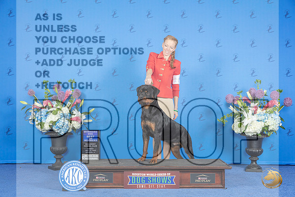 Rottweiler #21 SUN WD BOW Judge Ronald Freeman__JP_0085_Houston_2024_HR3