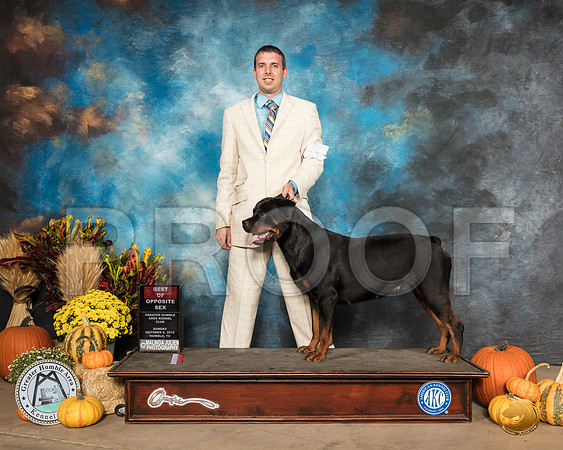 Rottweiler #8 Sun BOS__SR_0113_Humble2019-HR3