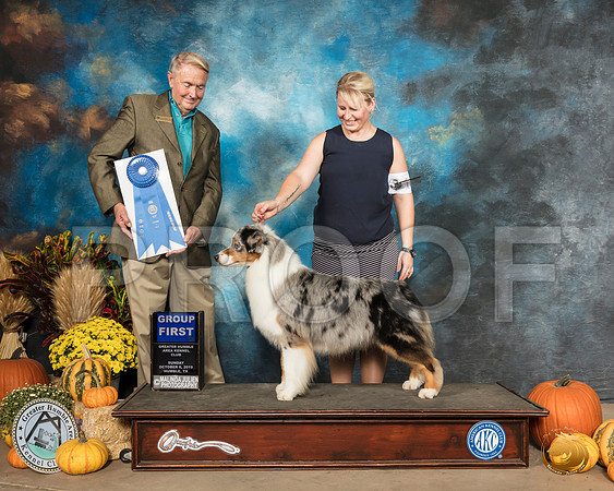 Australian Shepherd #12 Sun G1 Judge Christopher Neale__SR_0242_Humble2019-HR3