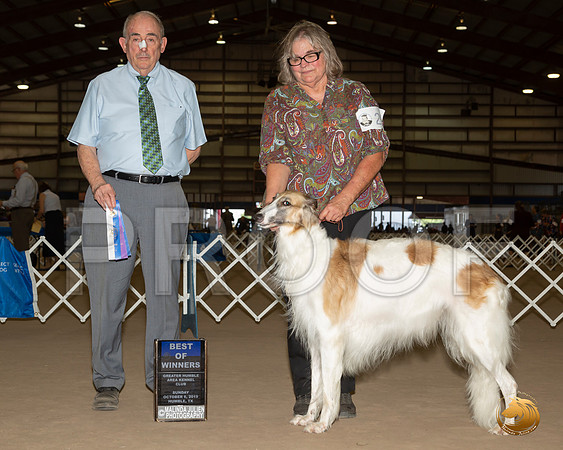 Borzoi #20 Sun BOW Judge Joe Walton__JJ_7609_Humble2019-HR3