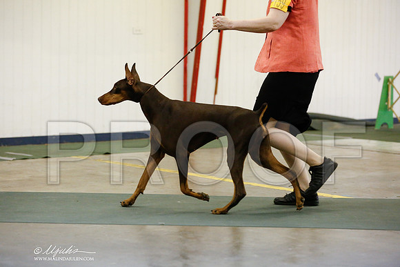 _RH_5631-DntnJun2014-HR3
