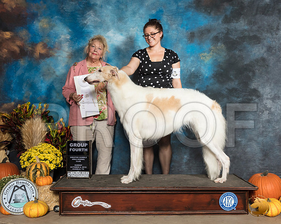Borzoi #26 Sun G4 Judge Dr Carol Moser__SR_0260_Humble2019-HR3
