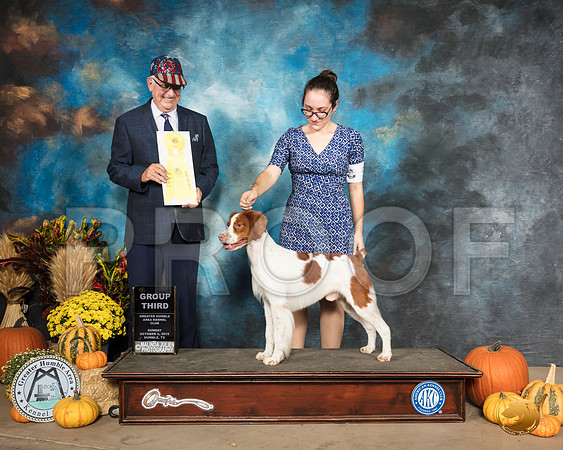 Brittany #5 Sun G3 Judge Johnny Shoemaker__SR_0298_Humble2019-HR3