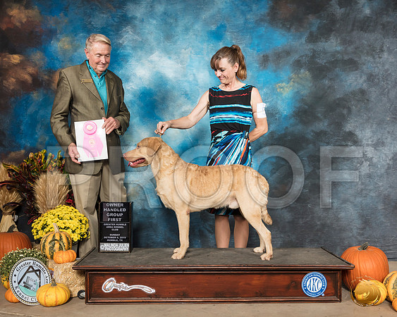 Chesapeake Bay Retriever #5 Sun OHG1 Judge Christopher Neale__SR_0253_Humble2019-HR3